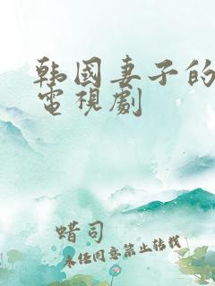 韩国妻子的秘密电视剧