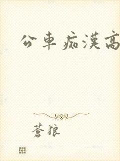 公车痴汉高h