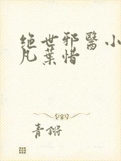 绝世邪医小说林凡叶惜