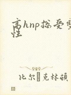 高hnp总受双性
