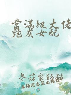 当满级大佬成为炮灰女配