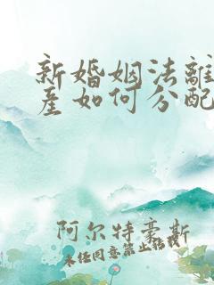 新婚姻法离婚财产如何分配