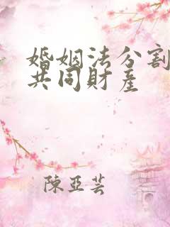 婚姻法分割夫妻共同财产