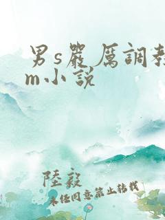 男s严厉调教女m小说