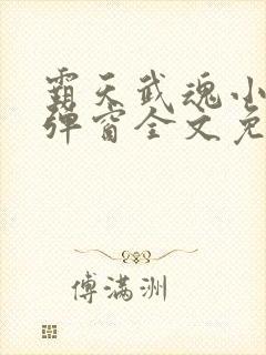 霸天武魂小说无弹窗全文免费阅读