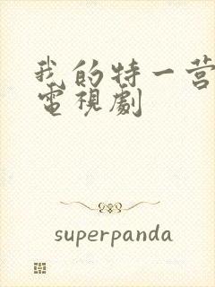 我的特一营完整电视剧