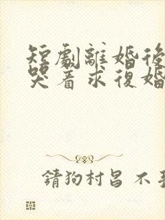 短剧离婚后前夫哭着求复婚完整版