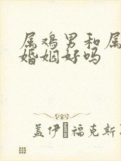 属鸡男和属牛女婚姻好吗