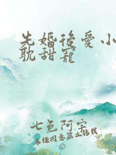 先婚后爱小说原耽甜宠