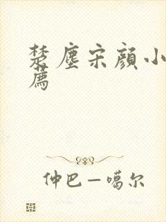 楚尘宋颜小说推荐