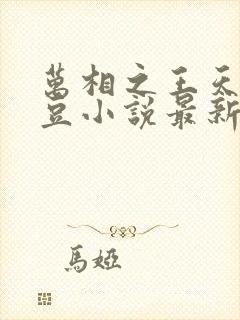 万相之王天蚕土豆小说最新章节