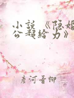 小说 《隐婚老公超给力》