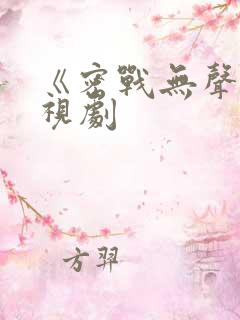 《密战无声》电视剧