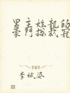 男主姓龙的小说豪门总裁宠文