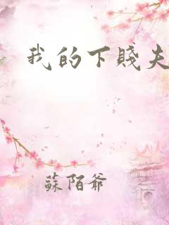 我的下贱夫妻奴