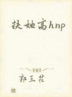 扶她高hnp