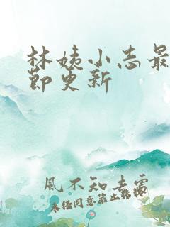 林姨小志最新章节更新