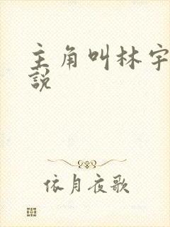 主角叫林宇的小说