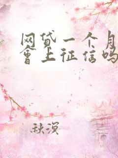 网贷一个月逾期会上征信吗