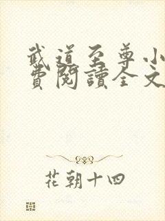 武道至尊小说免费阅读全文