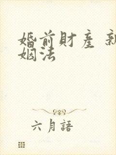 婚前财产 新婚姻法