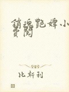 销魂艳婢小说免费阅