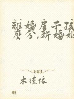 离婚房子孩子怎么分,新婚姻法谁懂?