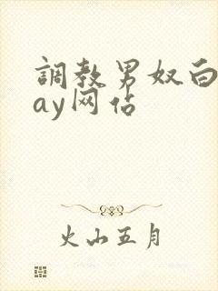 调教男奴白袜gay网站