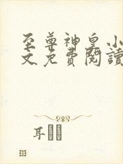 至尊神皇小说全文免费阅读