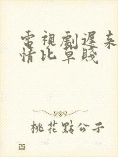 电视剧迟来的深情比草贱