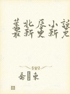 叶北辰小说超前最新更新免费阅读