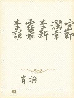 李霖李澜官场小说最新章节