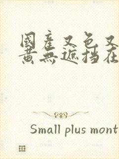 国产又色又爽又黄无遮挡在线视频