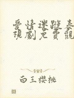 爱情迷踪泰剧电视剧免费观看