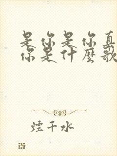 是你是你真的是你是什么歌