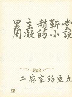 男主赵靳堂女主周凝的小说