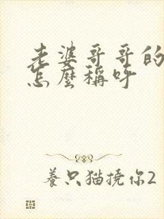 老婆哥哥的儿子怎么称呼