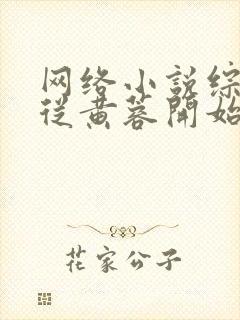 网络小说综武:从黄蓉开始征服