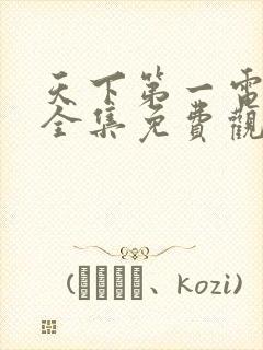 天下第一电视剧全集免费观看高清