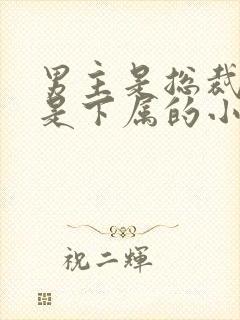 男主是总裁女主是下属的小说