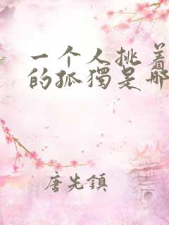 一个人挑着孤单的孤独是哪首歌