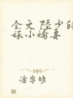 全文 陆少的替嫁小娇妻