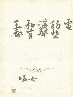 王和演的电视剧都有哪些