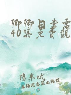 卿卿日常电视剧40集免费观看全集