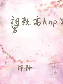 调教高hnp男男