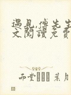 遇见,傅先生全文阅读免费