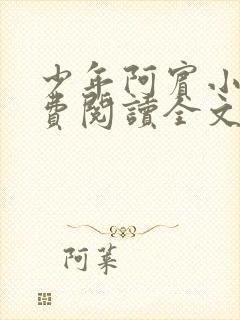 少年阿宾小说免费阅读全文免费