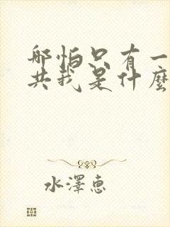 哪怕只有一天你共我是什么歌