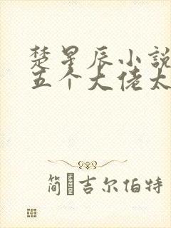 楚星辰小说穿书五个大佬太黏人