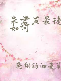 朱君友最后结局如何